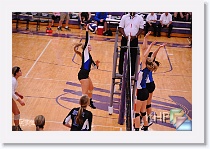 Set 2 * (114 Slides)